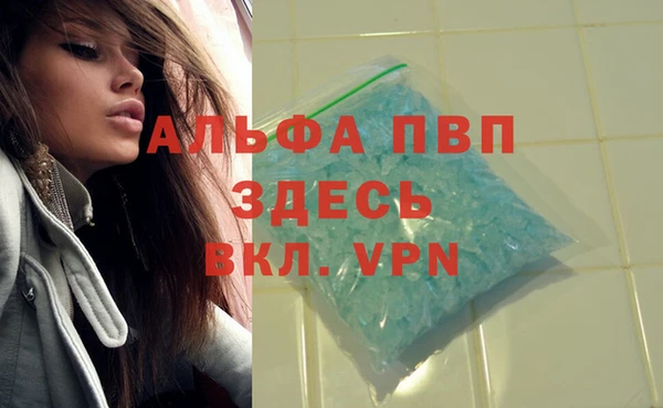 соль ск Дмитровск