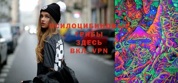 мяу мяу мука Дмитров