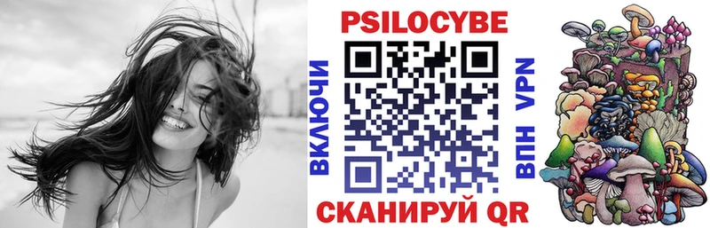 Купить закладки  Стерлитамак  Псилоцибиновые грибы мухоморы 